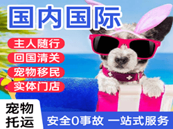 宜昌三峡机场快运国际宠物托运 【国